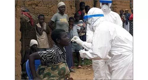 马尔堡病毒 埃博拉的"堂兄弟":马尔堡