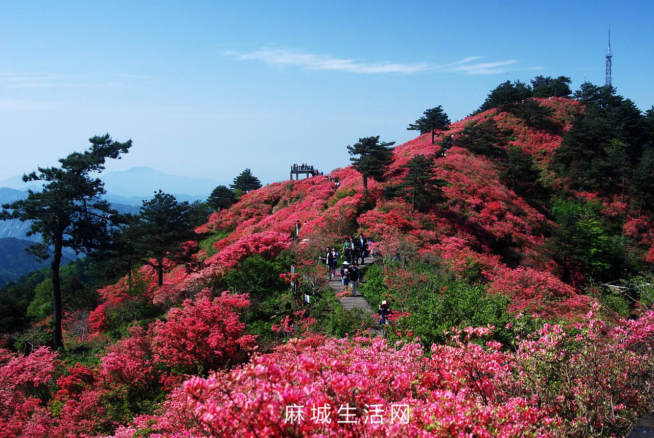 麻城有什么好玩的地方 来大别山游玩者的必经之地