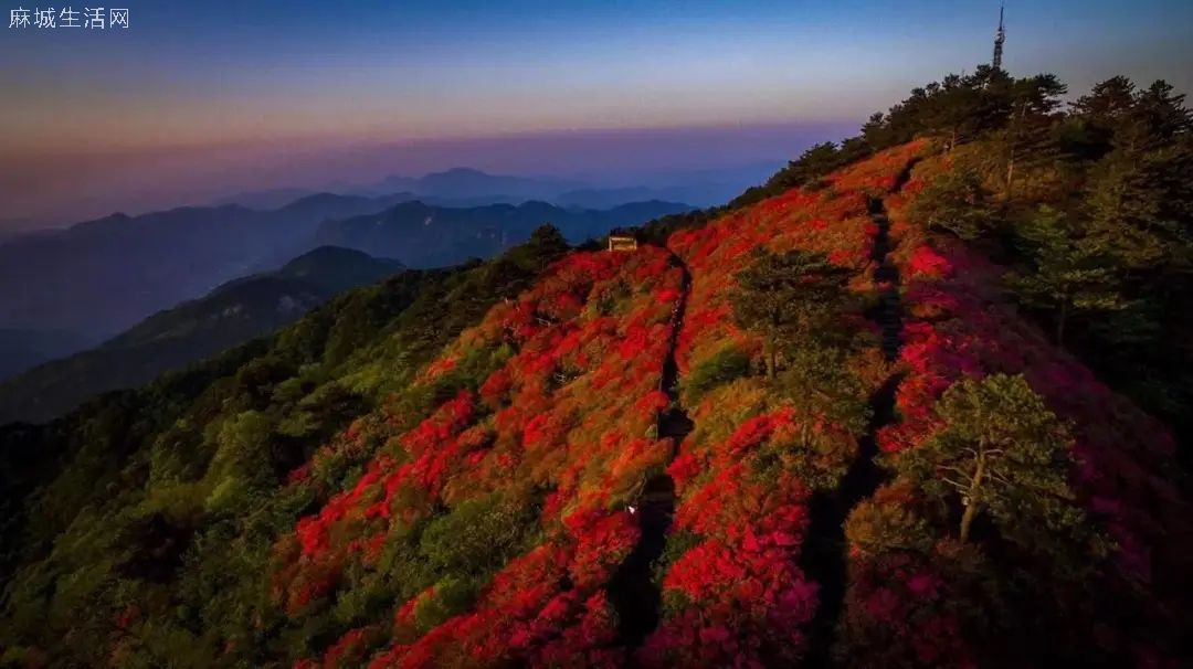 湖北麻城龟峰山风景区概况麻城旅游必去景点